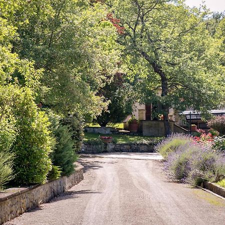 Il Giardino Delle Giare Villa Castiglion Fiorentino Exteriör bild