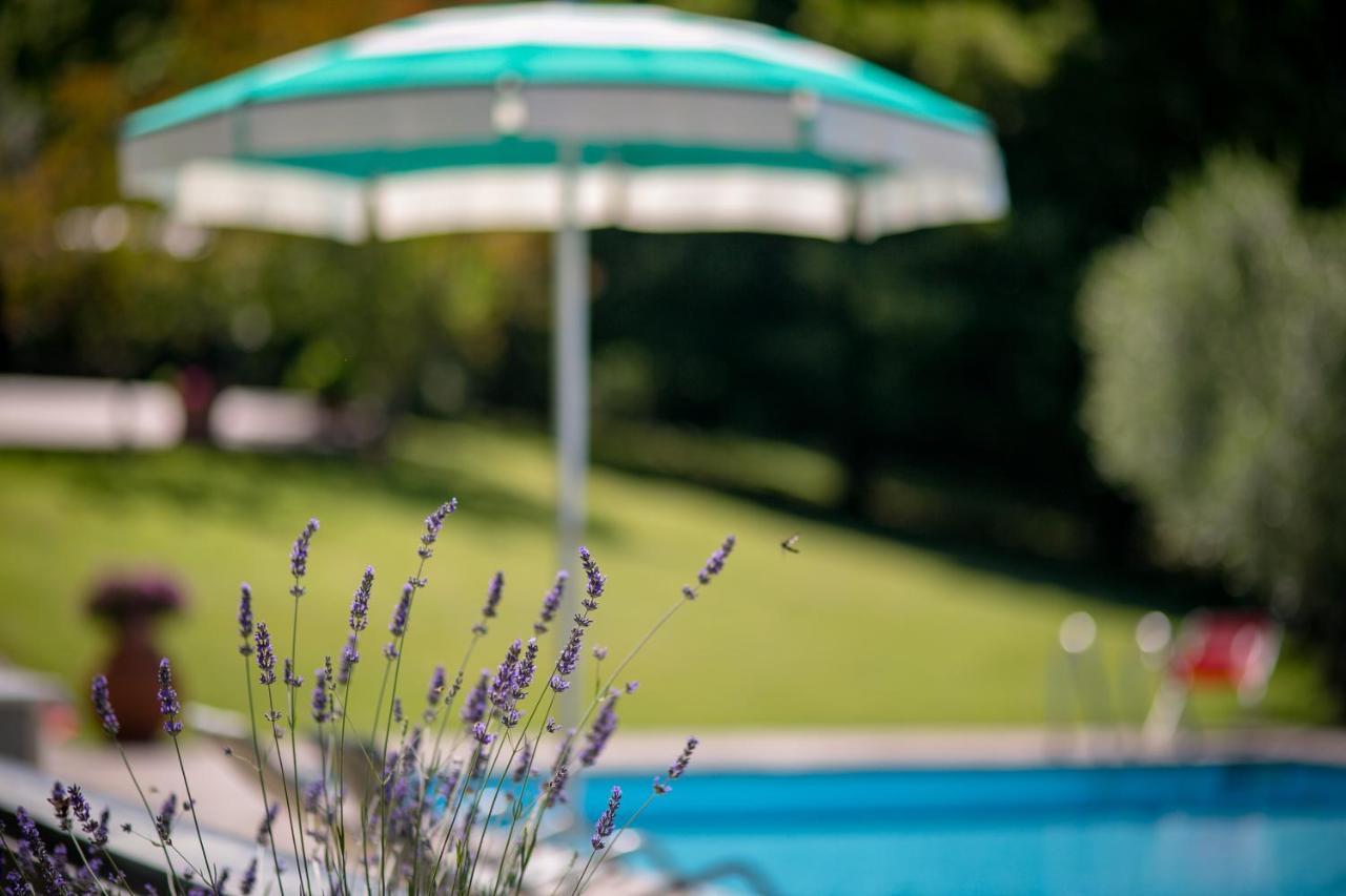 Il Giardino Delle Giare Villa Castiglion Fiorentino Exteriör bild